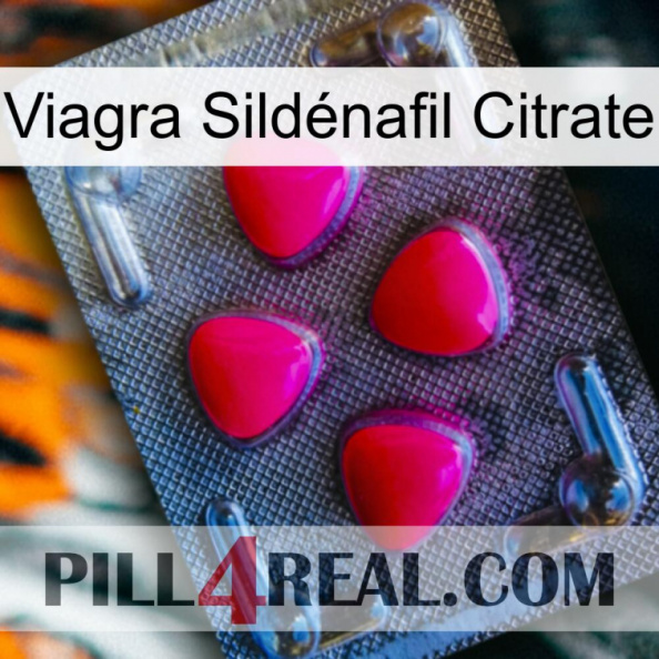 Viagra Sildénafil Citrate 13